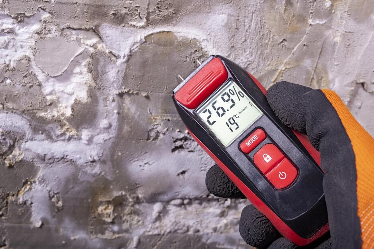 Top 7 New Tools Revolutionizing Mold Mitigation You Should Know About
