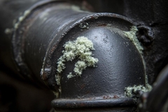 Can Mold Grow on Metal Surfaces Indoors?