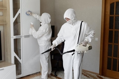 Can You Stay in Home During Mold Remediation Process?