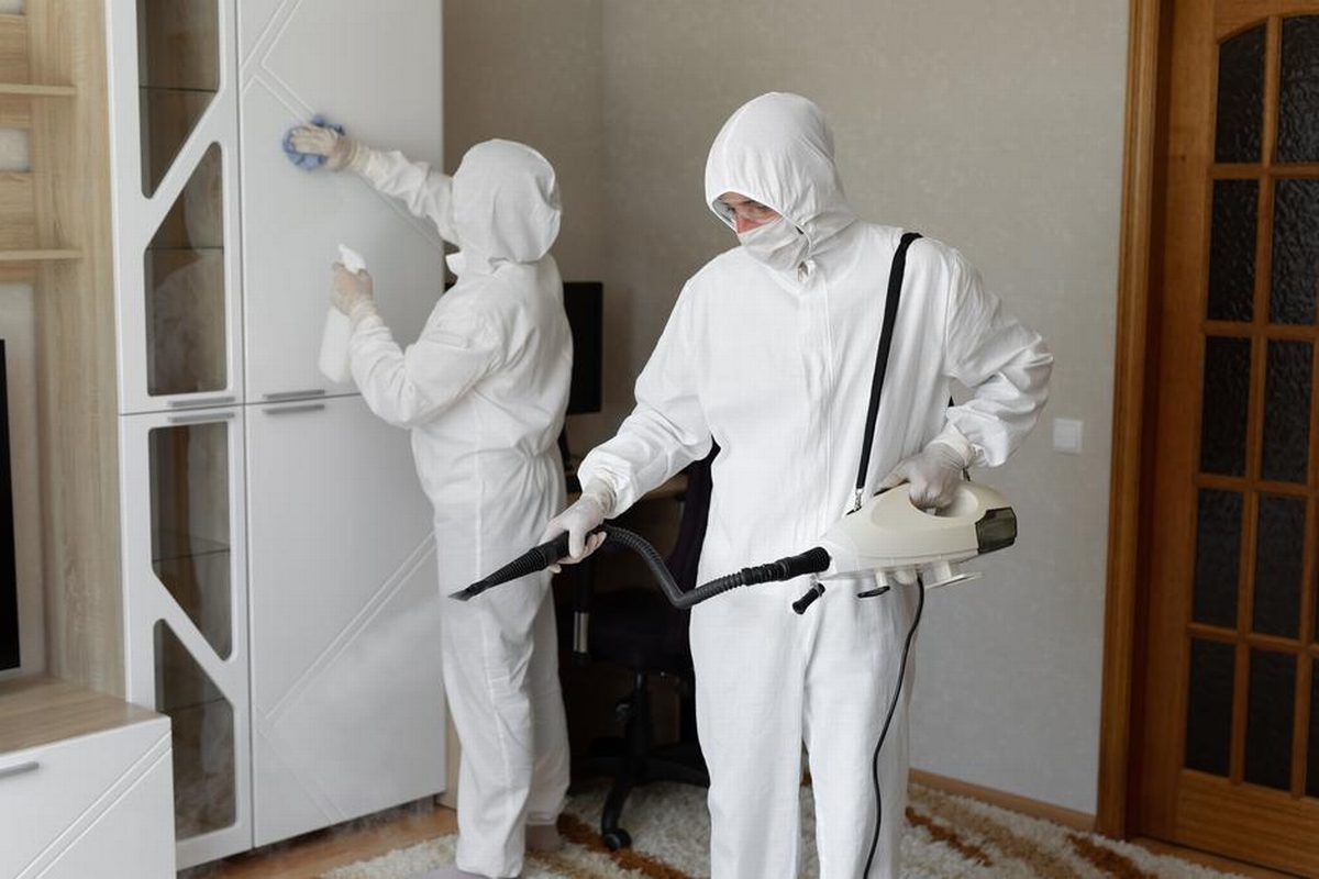 Can You Stay in Home During Mold Remediation Process?