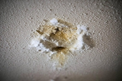 Popcorn Ceiling with Water Damage: What to Expect
