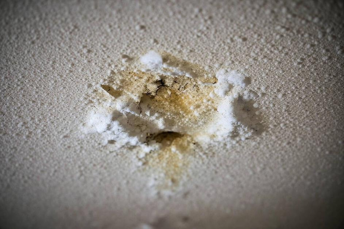 Popcorn Ceiling with Water Damage: What to Expect