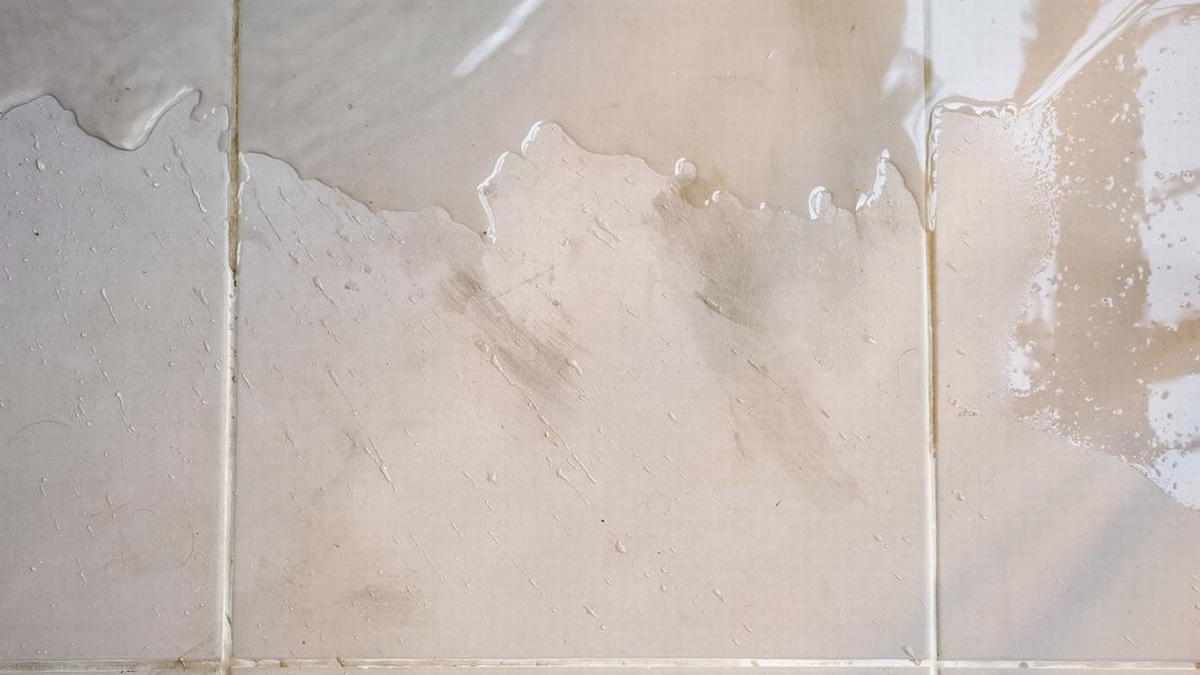 Understanding Hard Water Stains: A Guide to Identification and Implications