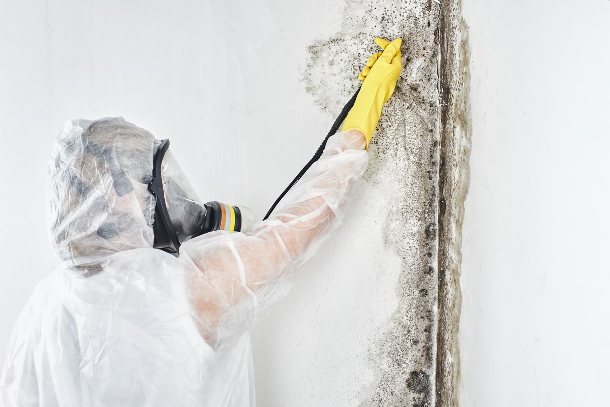 [Guide] What Is Involved with Mold Remediation?