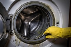 Washing Machine Smells Like Sewage? Causes and Fast Fixes