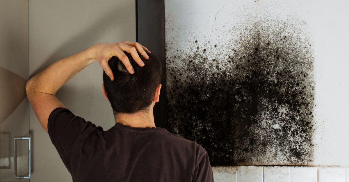 man frustrated by mold