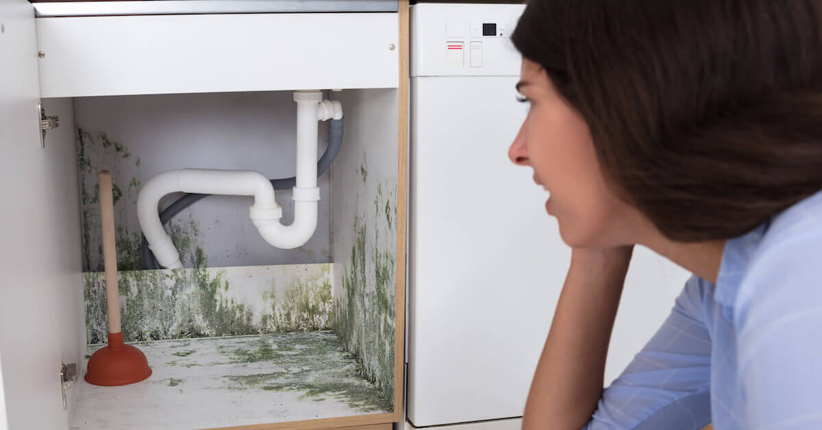 mold under sink