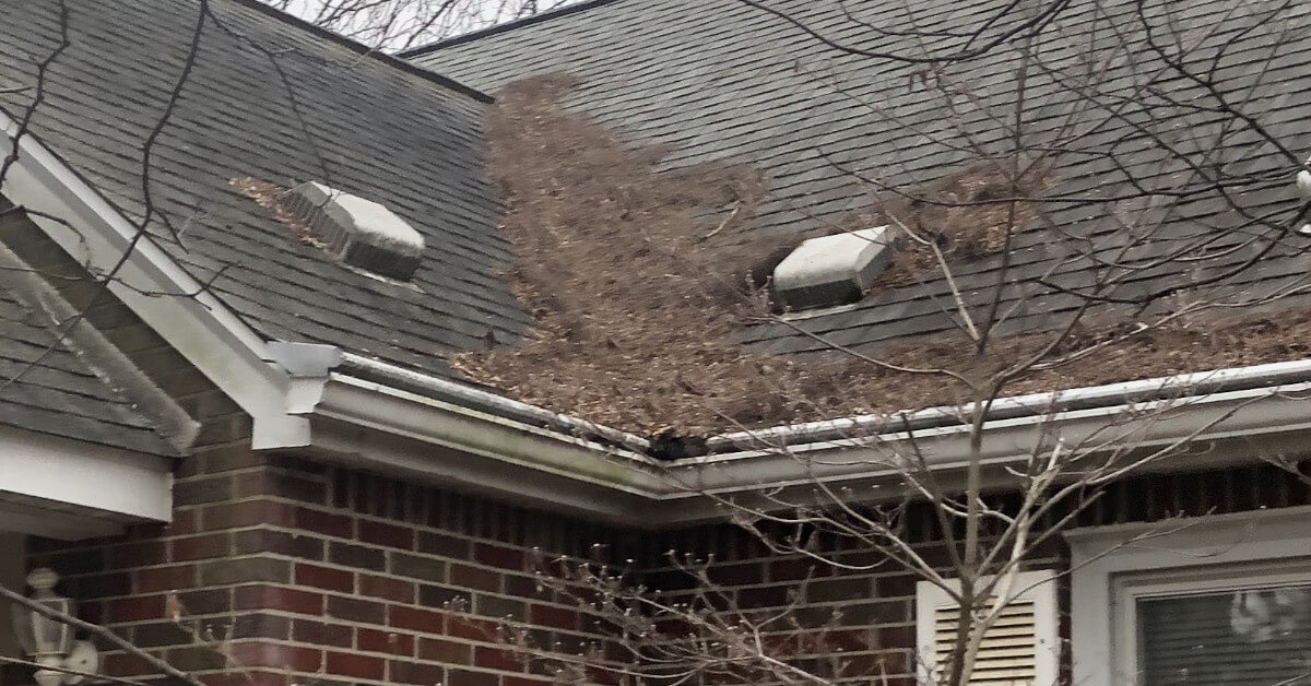 Common Causes of Roof Damage