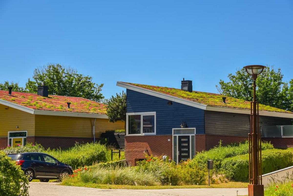 Top 7 Roofing Innovations Transforming Home Aesthetics and Durability Today