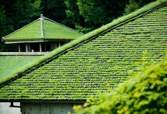 Revive Your Roof: Latest Trends in Modern Roofing Designs and Techniques