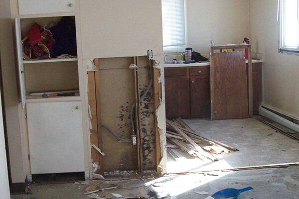 Mold Remediation in Stewartville, MN