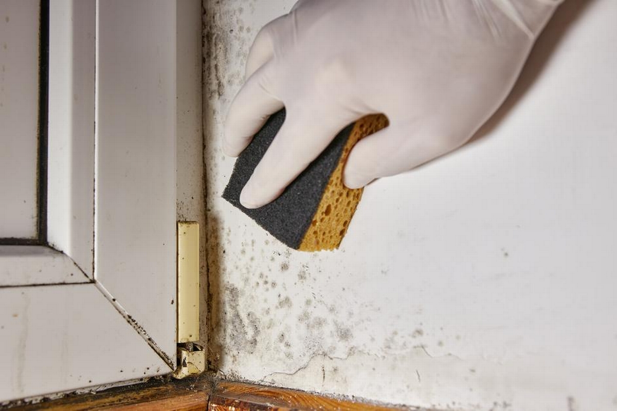 DIY vs. Professional Restoration: When to Call in the Experts Featured Image DIY vs. Professional Restoration: When to Call in the Experts