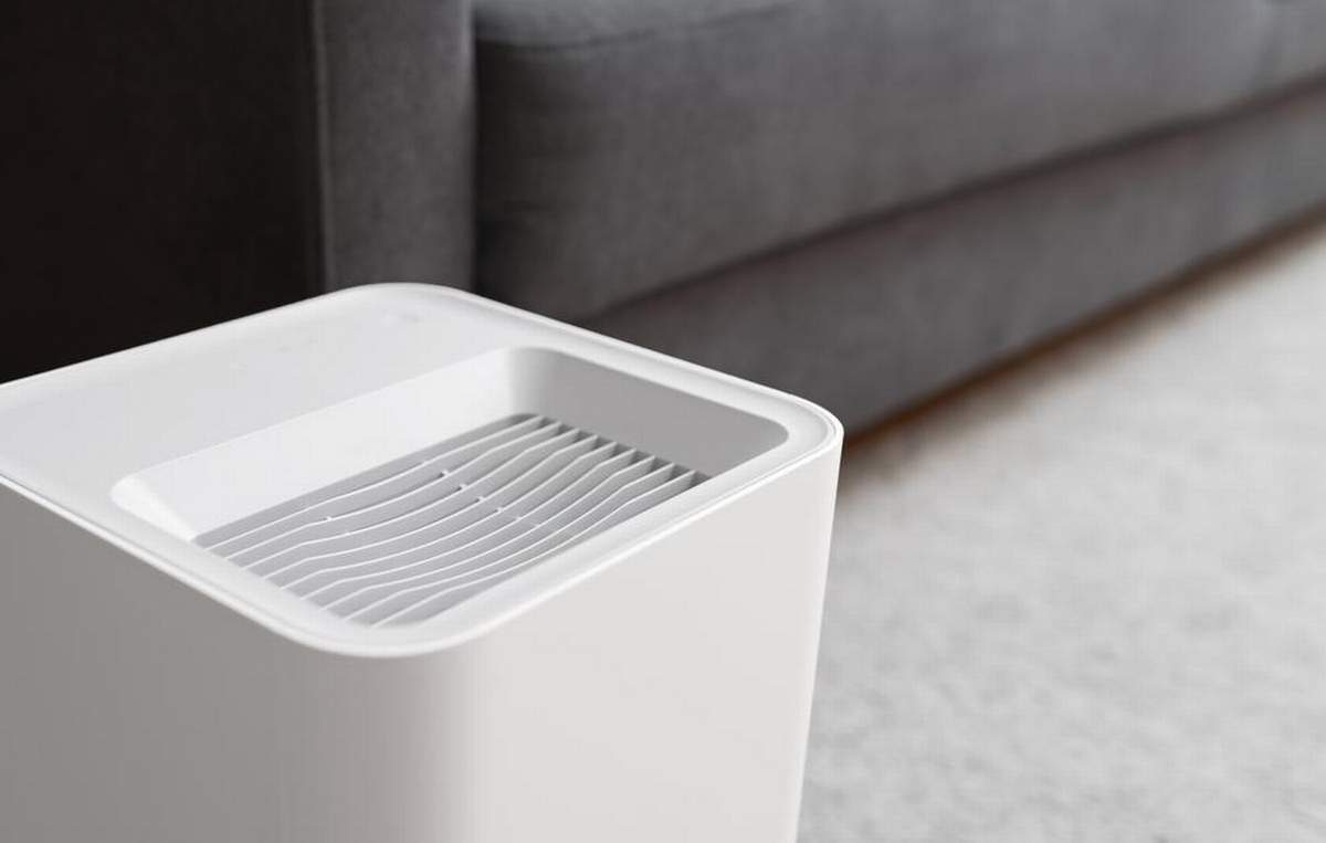 Can a Dehumidifier Get Rid of Mold or Just Moisture