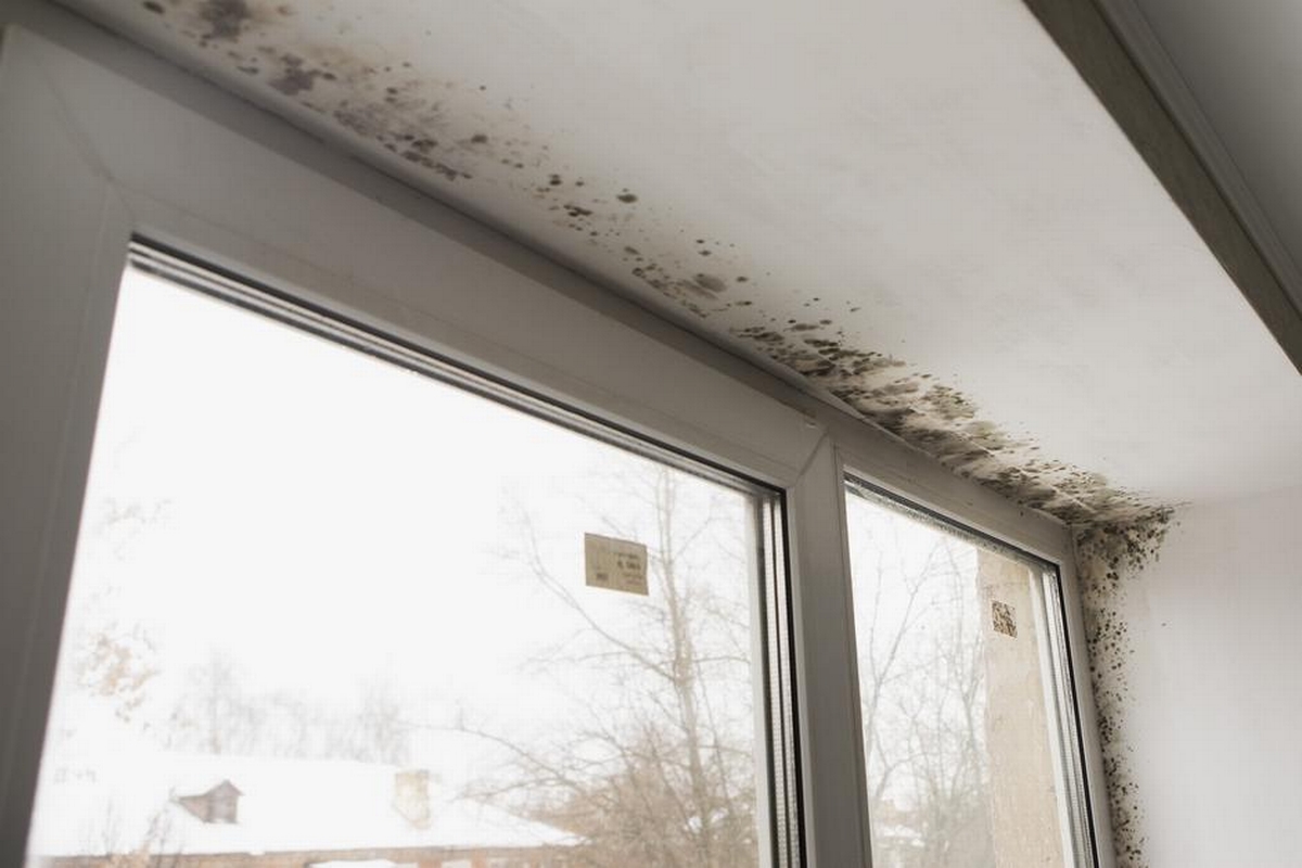 Mold Spots on Ceiling and How to Remove Them Safely