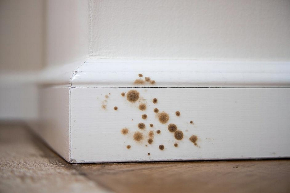 Brown Spots on Baseboards: Causes and Solutions