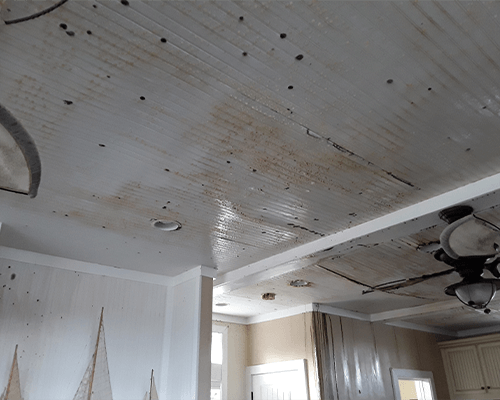 Mold Removal Before in Columbus and the Surrounding Area