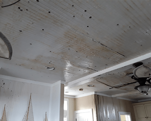 Mold Removal in Columbus and the Surrounding Area Mold Removal Before in Columbus and the Surrounding Area