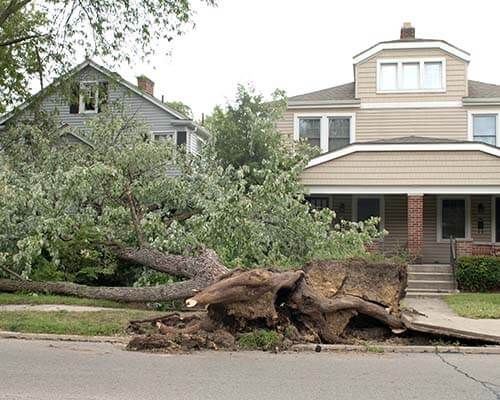 Storm Damage in Columbus and the Surrounding Area