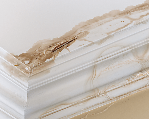 Water Damage Restoration in Columbus and the Surrounding Area Water Damage Restoration in Columbus and the Surrounding Area