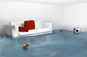 Flooded basement, water extraction, water back-up