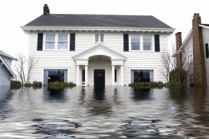 Basement flooding is a common issue, it generally catches you completely off guard