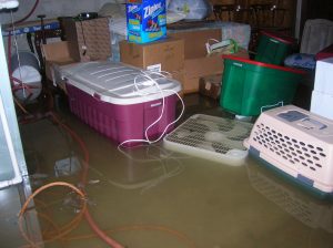 Flooded Basement Restoration