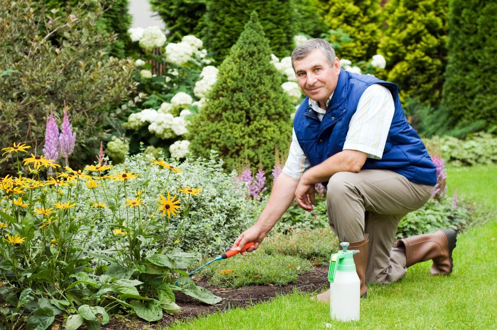 Getting Your Yard Ready for Spring