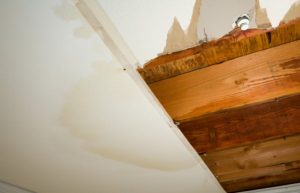 How to tell the age of water damage Age of water damage