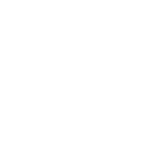 Y Not Foods