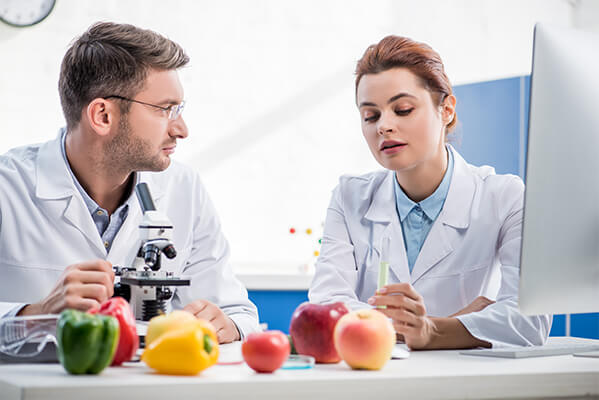 Y Not Foods Research and Development