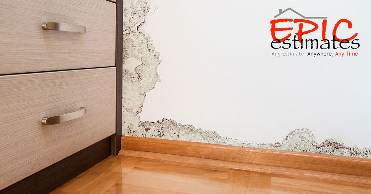 Mold Mitigation Estimates in Portland, OR