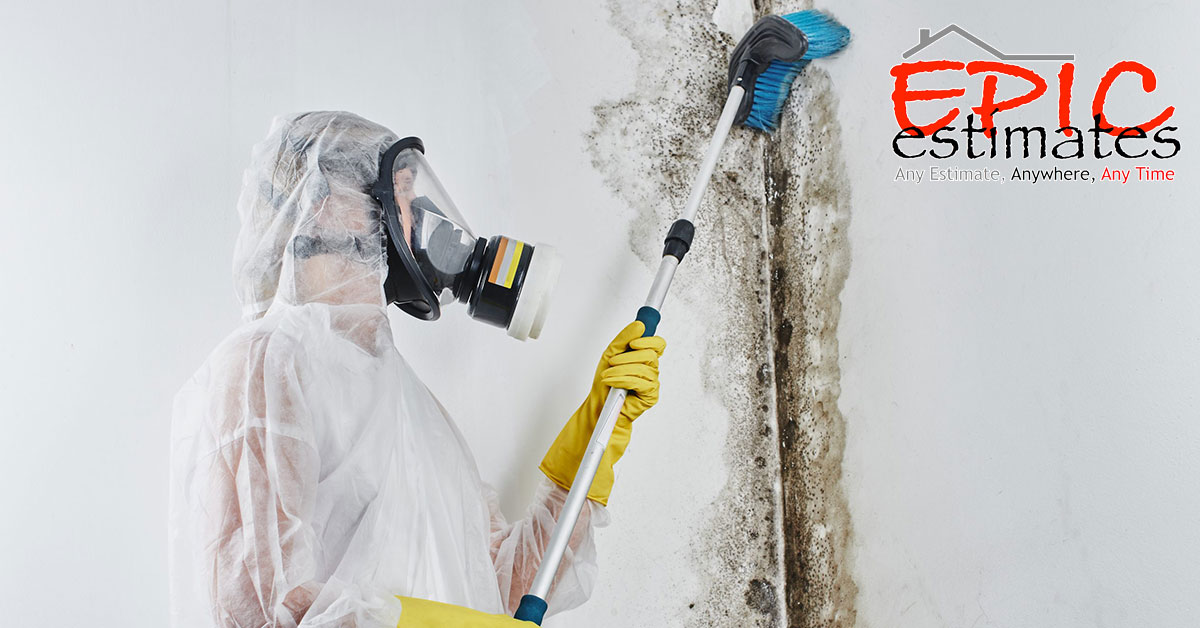 Mold Mitigation Estimates in Burlington, VT