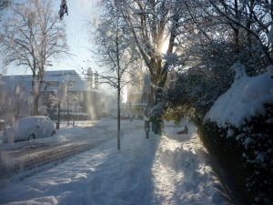 street scene with snow covering vehicles and landscaping and homes