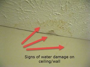 close-up of ceiling and wall showing stains and peeling paint from water damage