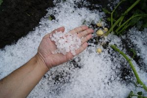 picture of hand holding hail stones hailhailhail