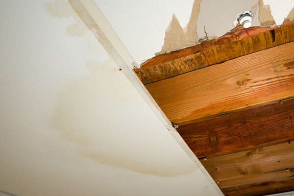 Water Damage Cleanup in West Valley City, UT