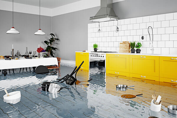 Water Damage Cleanup in Park City, UT