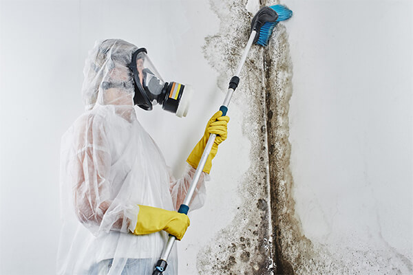 Mold Damage Restoration in New York City, NY