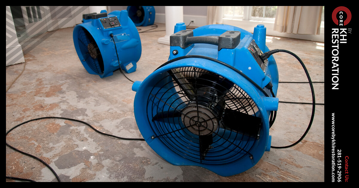 Professional Water Damage Cleanup in Houston, TX