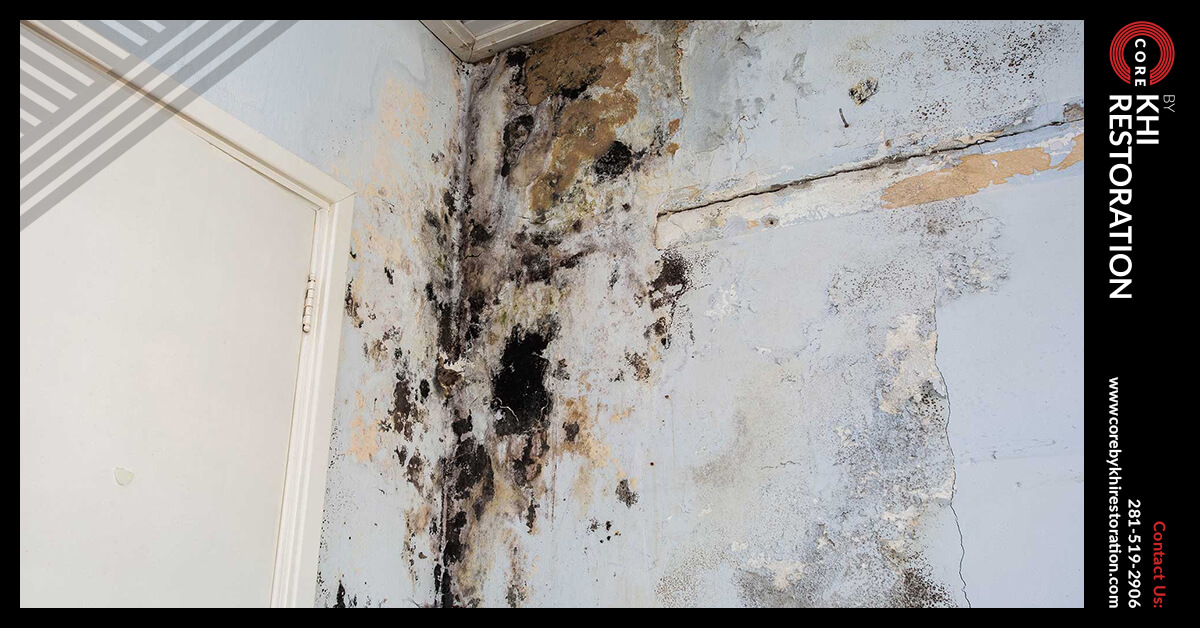 Mold Remediation in Tomball, TX