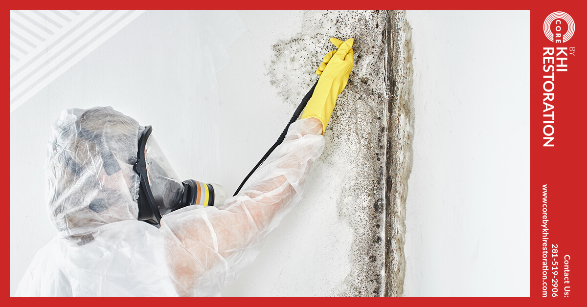 Professional Mold Abatement in Cypress, TX