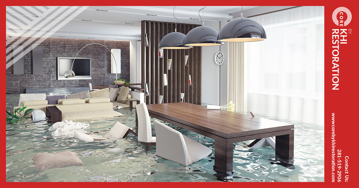 Professional Water Damage Remediation in Spring, TX