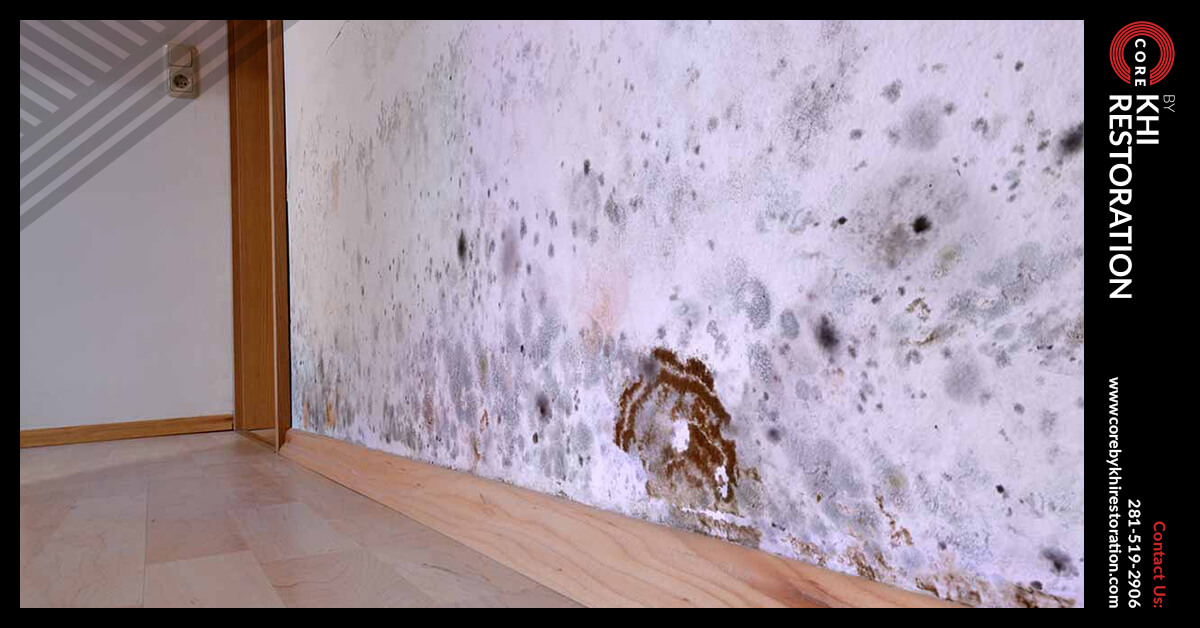 Mold Damage Restoration in Conroe, TX