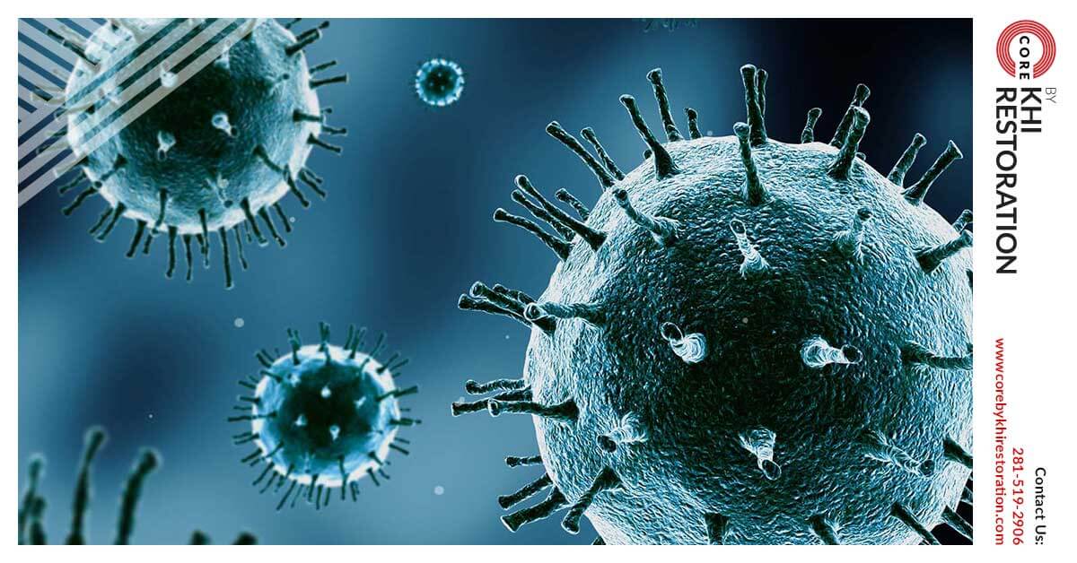Professional Mold Remediation in The Woodlands, TX