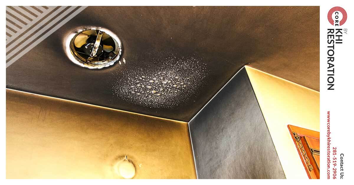 Professional Fire Damage Restoration in Kingwood, TX