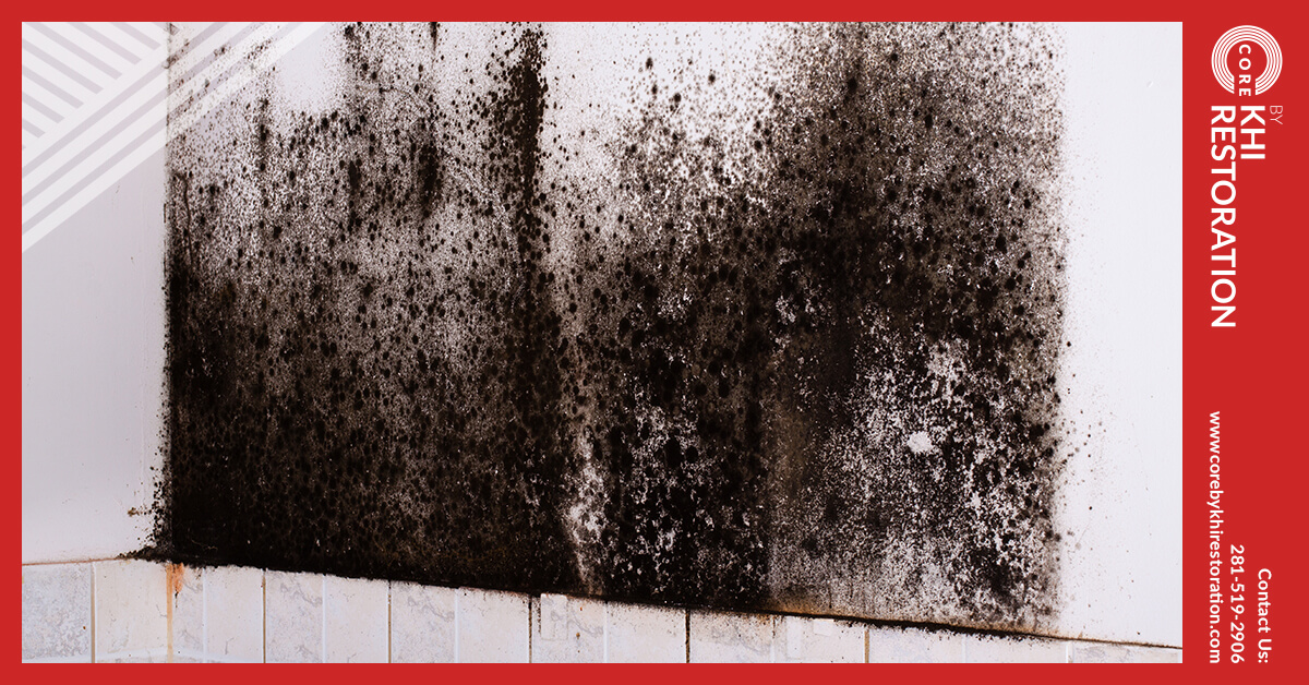 Mold Damage Restoration in The Woodlands, TX