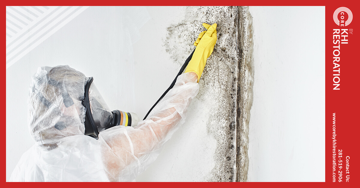 Professional Mold Abatement in Spring, TX