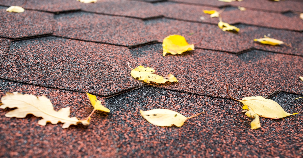 Why the Fall Season is Ideal for Getting Roof Repairs