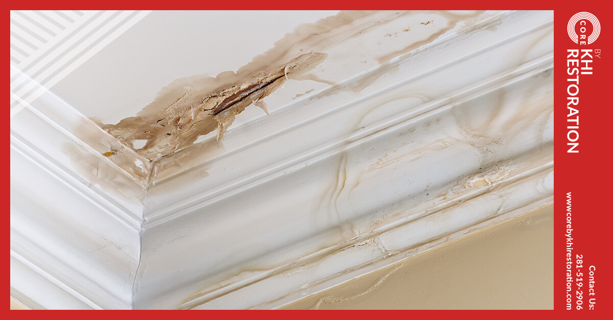 Certified Flood Damage Mitigation in Conroe, TX