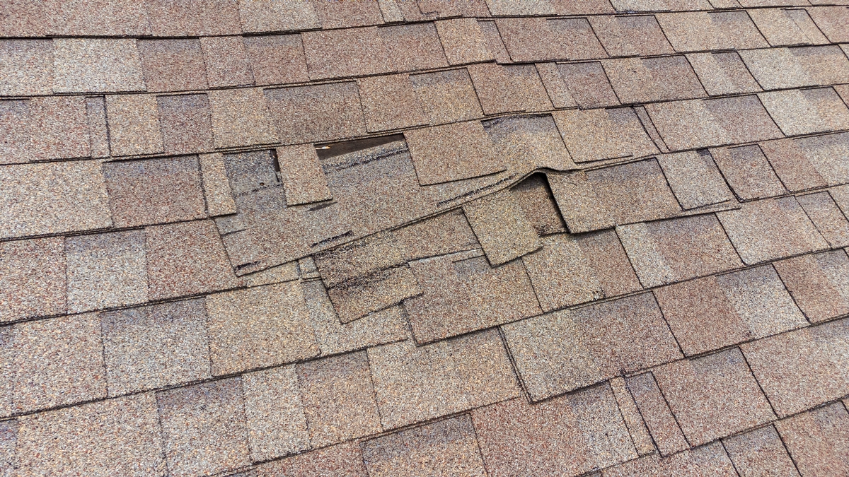 Preparing your Roof for Spring